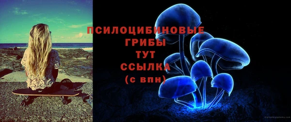 PSILOCYBIN Беломорск